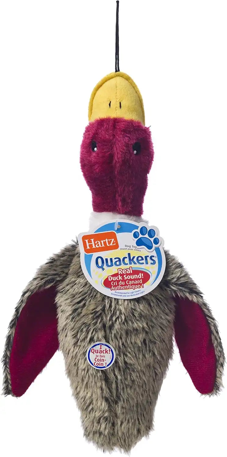 Hartz Nature's Collection Quackers Plush Duck Dog Toy - Large